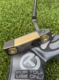 Load image into Gallery viewer, ✨Tour Black Concept 2 Bronze GSS Insert✨