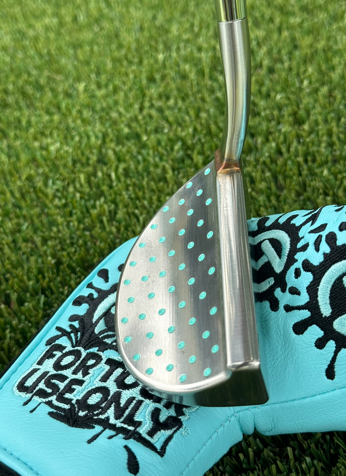 🎄Tour M3 Tiffany S.Cameron GSS 350G🎄