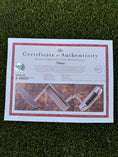 Load image into Gallery viewer, Newport GSS Welded Mid Slant Cameron & Co 350G Circle T Putter
