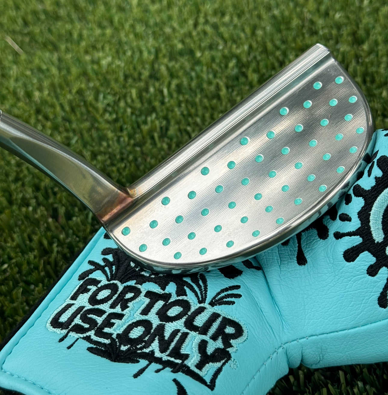 🎄Tour M3 Tiffany S.Cameron GSS 350G🎄