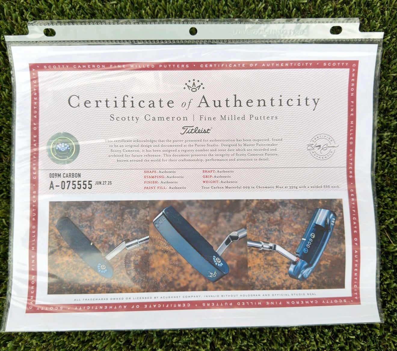 🍁Two Tone Chromatic Blue 009M 350G🍁