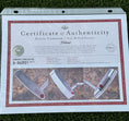 Load image into Gallery viewer, Scotty Cameron Timeless Newport 2 GSS 340G Cherry Bombs Circle T Putter
