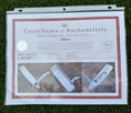 Load image into Gallery viewer, Scotty Cameron Timeless Newport 2 GSS 350G Large Bombs Circle T Putter
