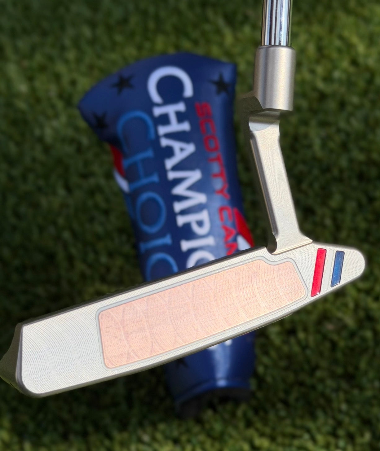 ✨Champions Choice Limited Edition Button Back Newport 2 SSS✨
