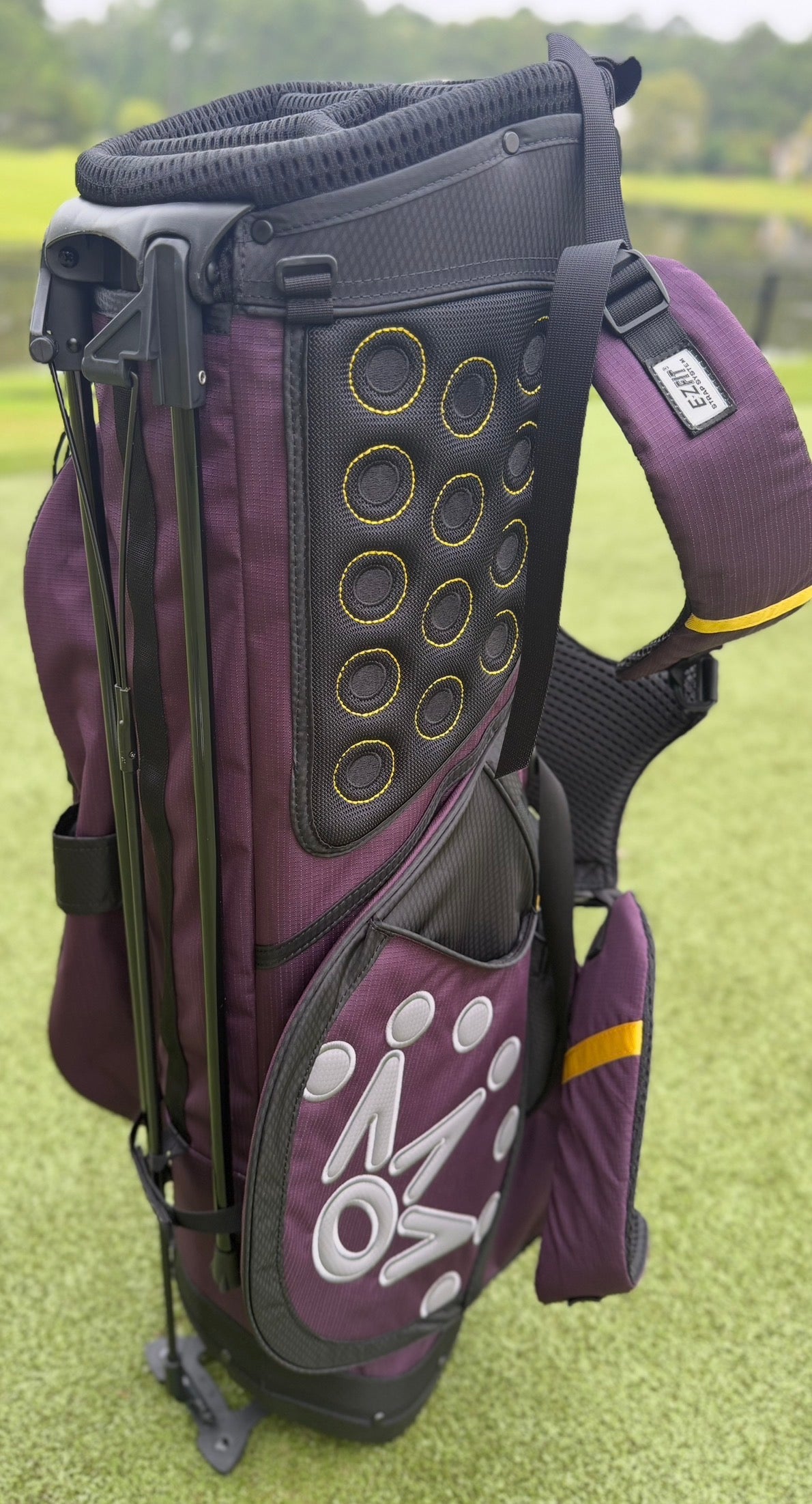 🎊Scotty Cameron 2025 Mardi Gras Purple Circle T Bag with JJ Headcover Set🎊