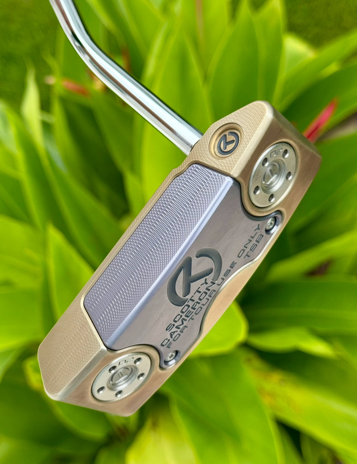 ✨Tour Squareback Chromatic Bronze Circle T✨