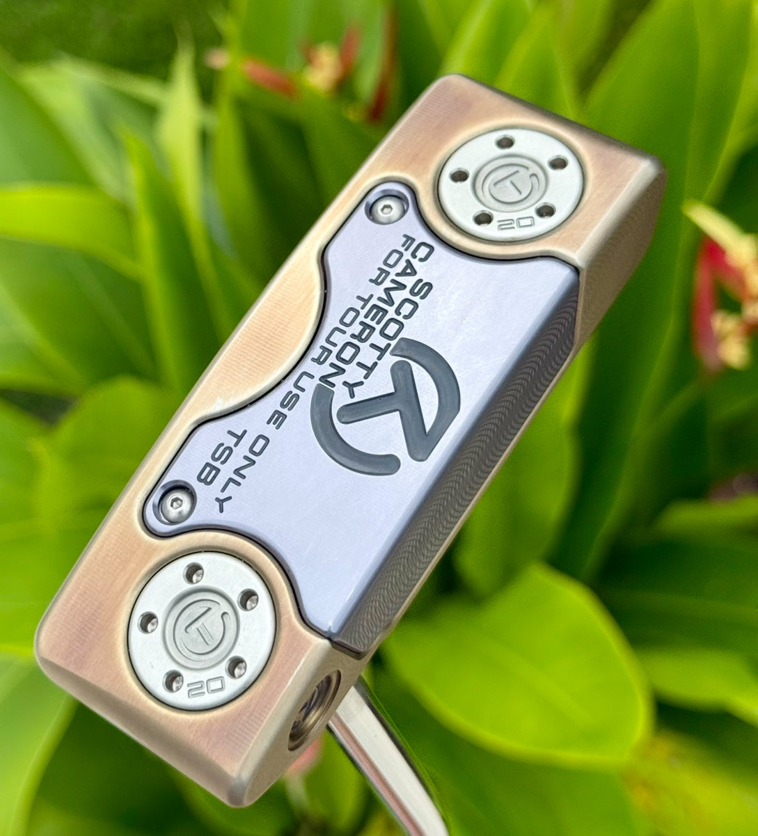 ✨Tour Squareback Chromatic Bronze Circle T✨