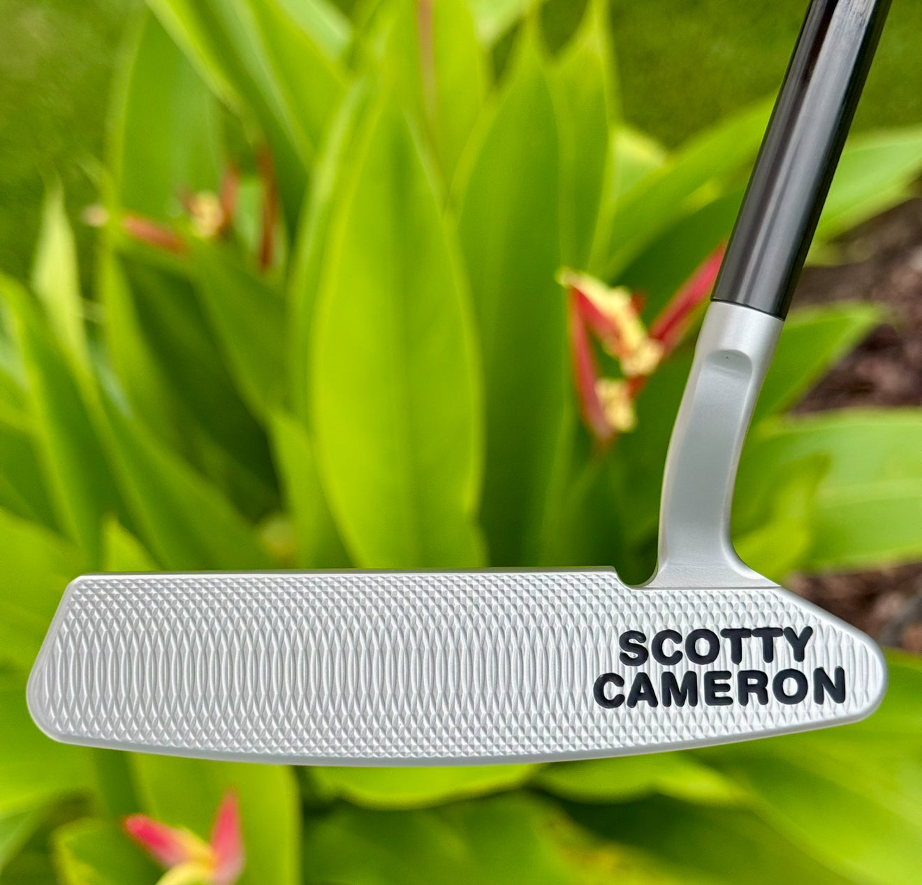 ✨Tour Newport Select Deep Milled 360G Circle T✨