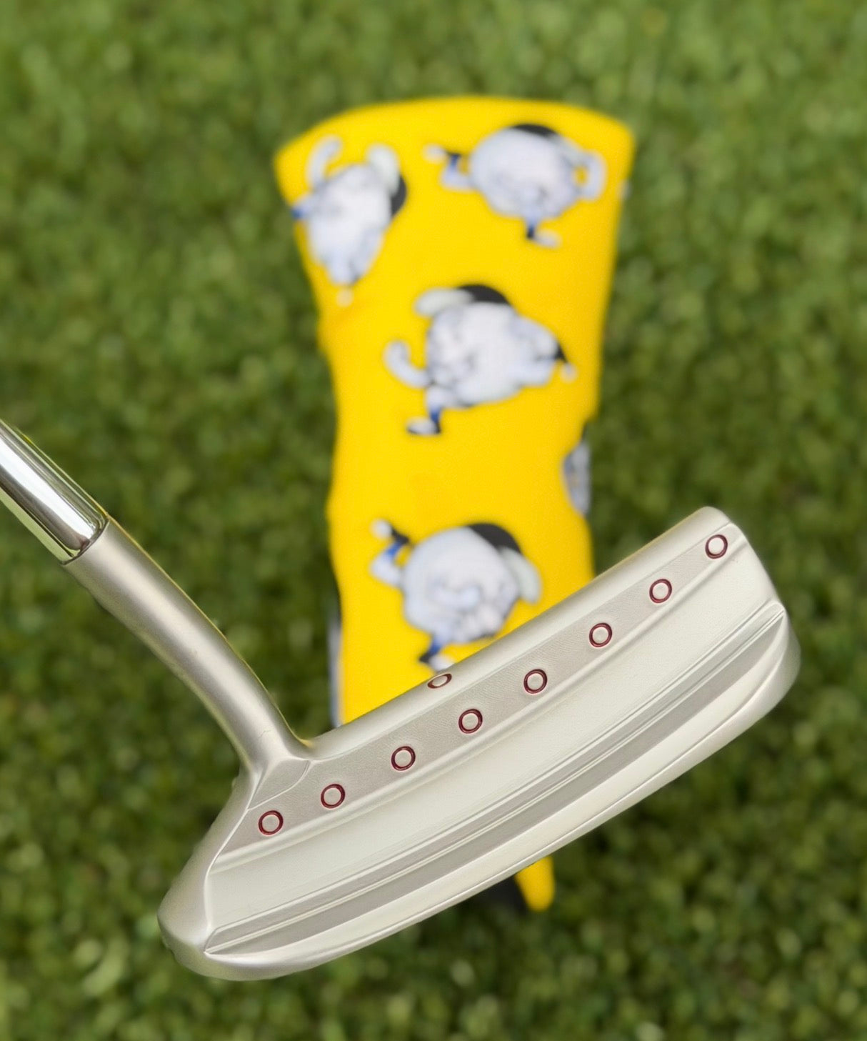 🌺Scotty Cameron Tour Circa 62 Prototype🌺